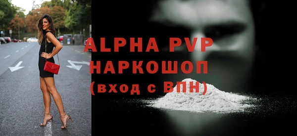 спиды Богданович