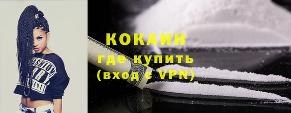 винт Бородино