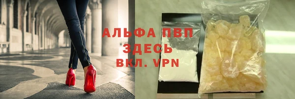 спиды Богданович
