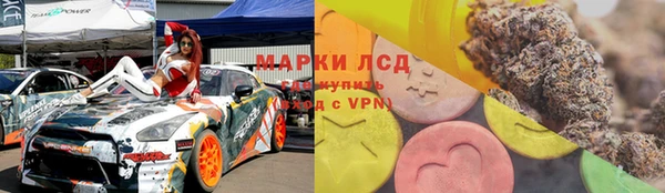 спиды Богданович
