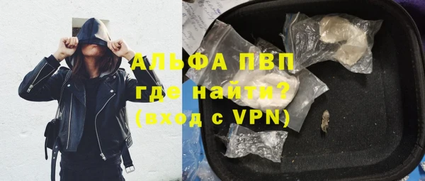 спиды Богданович