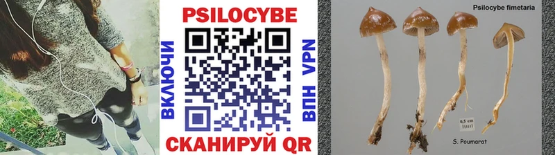 Галлюциногенные грибы мицелий  где купить наркотик  Десногорск 